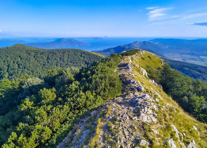 Apartman Oscha By Interhome Lovran